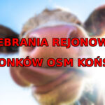 Zebrania OSM Końskie 2022