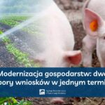 Modernizacja gospodarstw - dwa nabory wniosków w jednym terminie