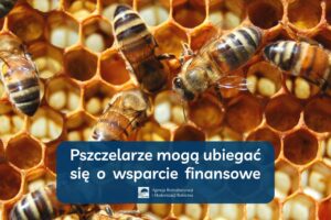 Pszczelarze mogą już ubiegać się o dodatkowe środki finansowe