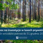 Rusza pomoc na inwestycje w lasach prywatnych